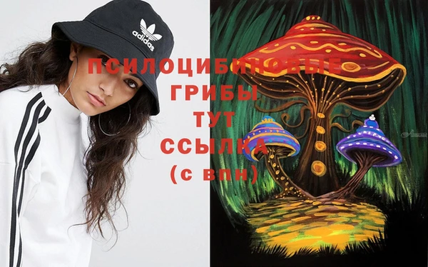 винт Горно-Алтайск