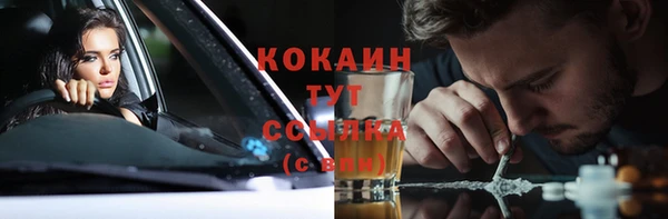 винт Горно-Алтайск