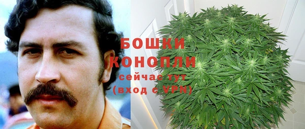 винт Горно-Алтайск
