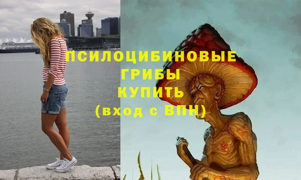 винт Горно-Алтайск