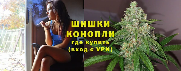 эйфоретик Горнозаводск